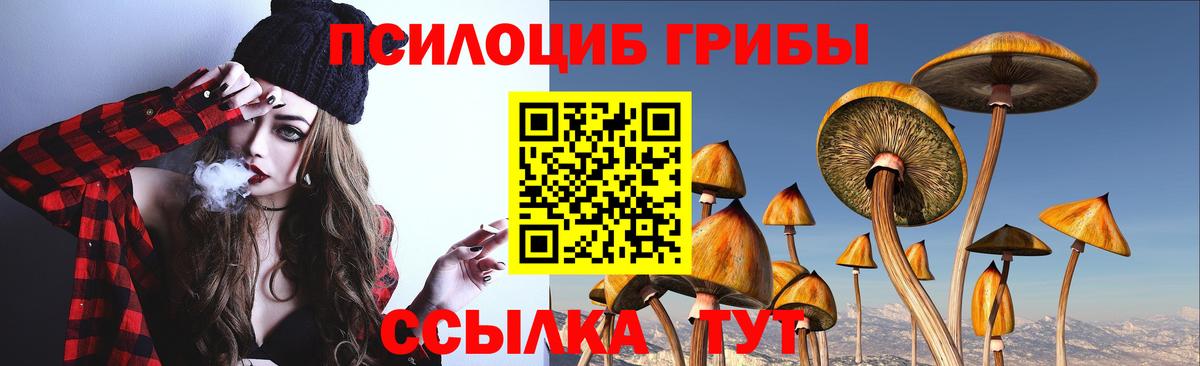 Галлюциногенные грибы Psilocybe Каменка