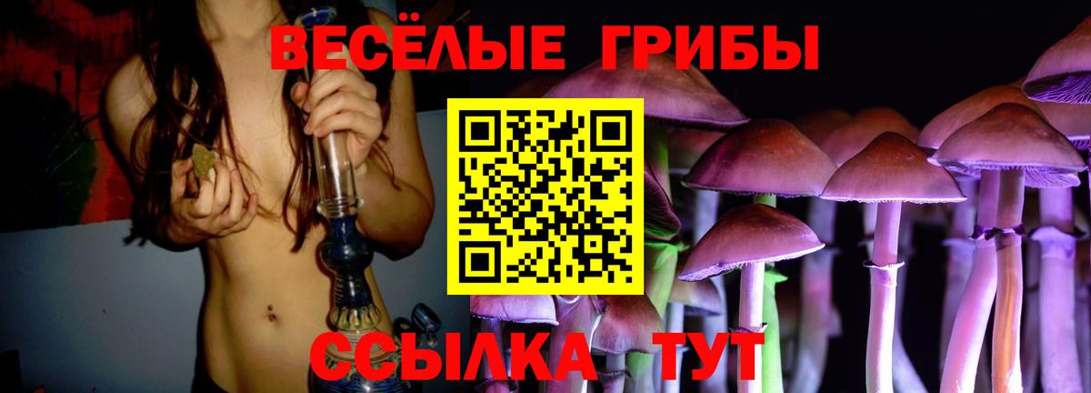 Каменка  Псилоцибиновые грибы ЛСД  Вход с VPN 